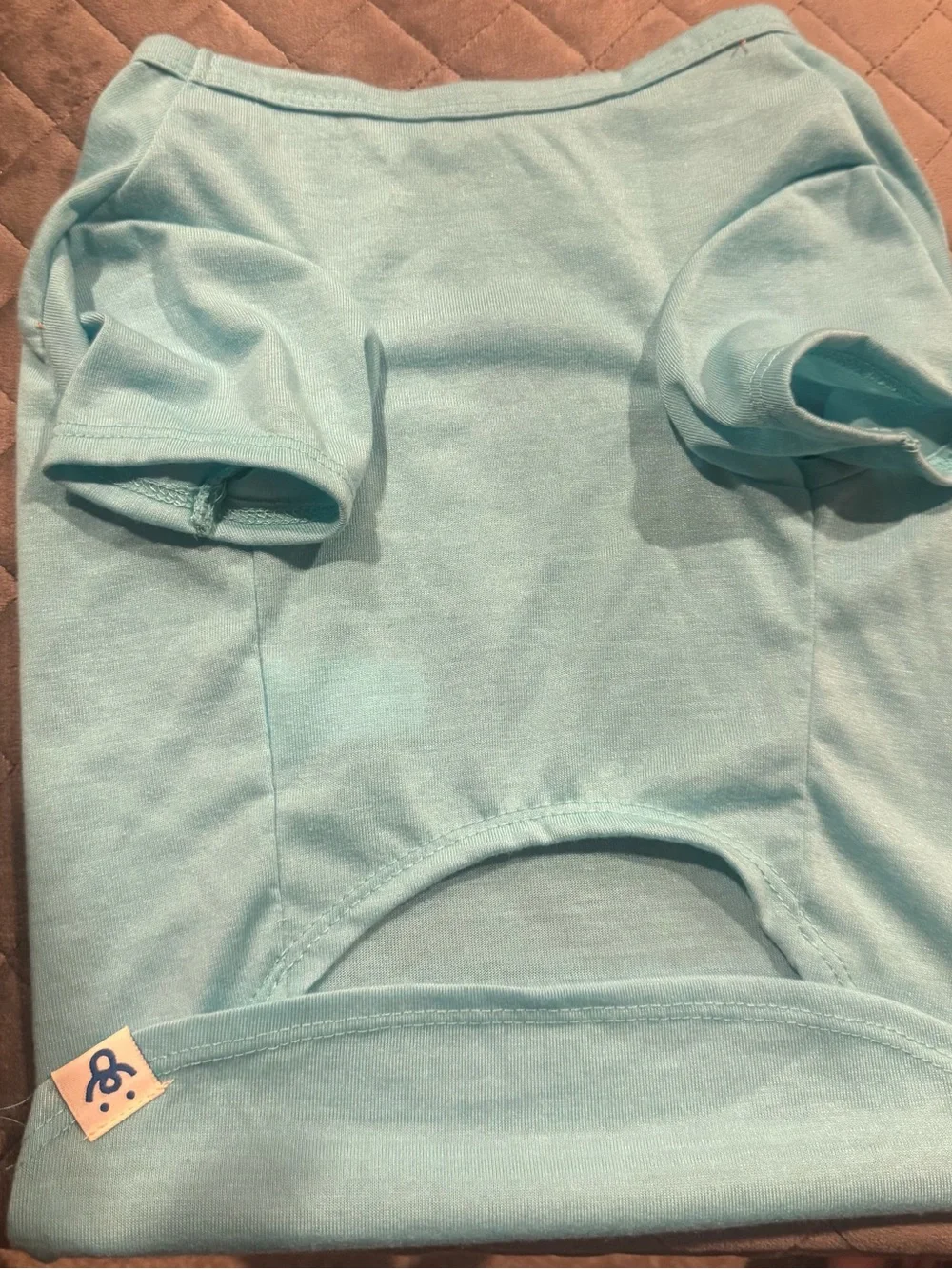 Mama's Boy Light Blue Graphic Tee